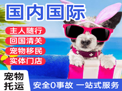 汉中城固机场空运国际宠物托运 【国